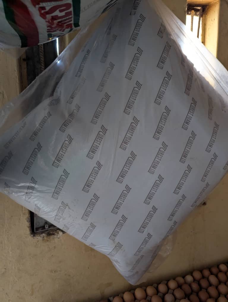 Continental Pillow